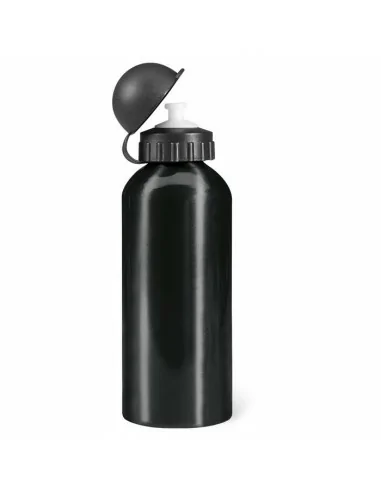 Aluminium bottle 600 ml BISCING | KC1203