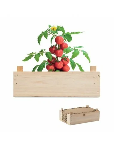 Tomato kit in wooden crate TOMATO | MO6498