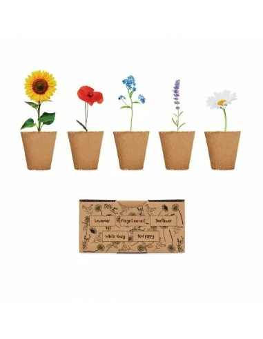 Flowers growing kit FLOWERS | MO6500