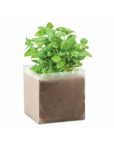 Compost with seeds 'BASIL' BASIL | MO9545