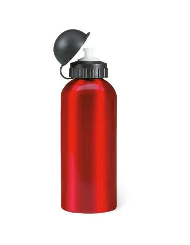 Aluminium bottle 600 ml BISCING