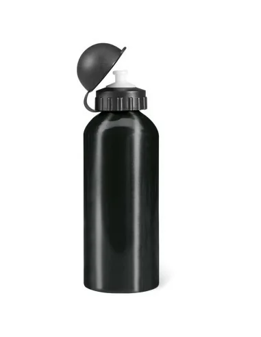 Aluminium bottle 600 ml BISCING