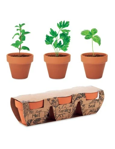 Terracotta 3 herb pot set FLOWERPOT