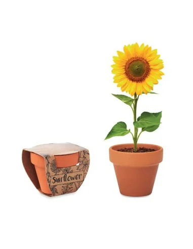 Terracotta pot 'sunflower' SUNFLOWER