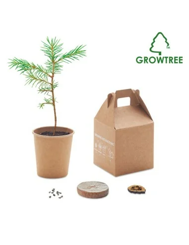 Pine tree set GROWTREE™