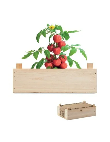 Tomato kit in wooden crate TOMATO